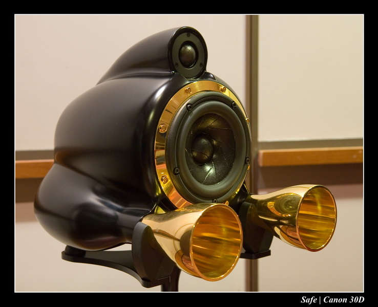 2006 - 10 - Salon hifi sofitel - 143